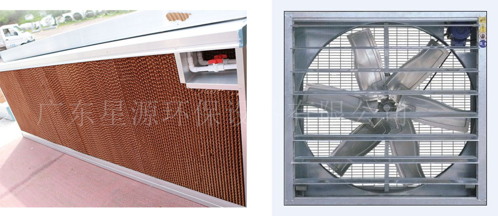 水帘降温 水帘降温